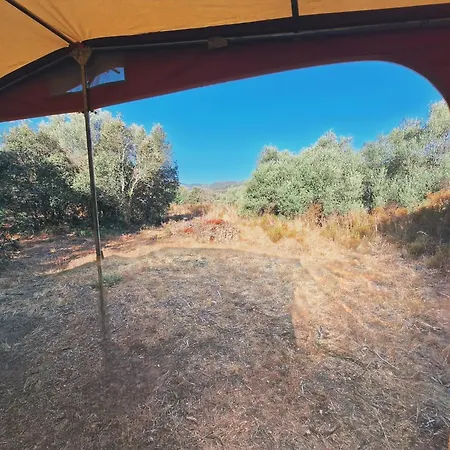 Campsite Caravane A La Ferme