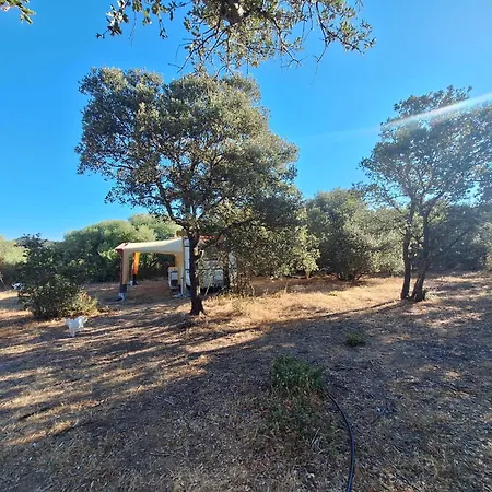 Caravane A La Ferme Occhiatana